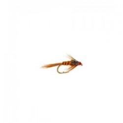 Brown Nymph