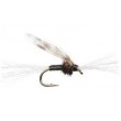 Chironomid Pupa Black