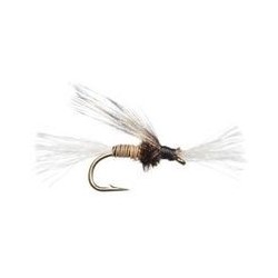 Chironomid Pupa Brown