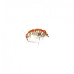 Czech Nymph Hares Ear Cream