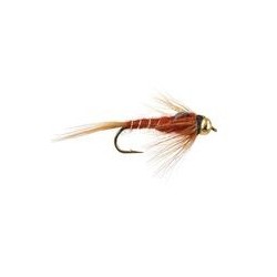 Damsel Brown