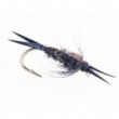 Drakes Steelhead