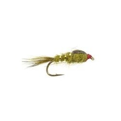 GRHE Olive