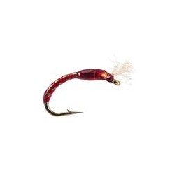 Holo Buzzer Red Gold