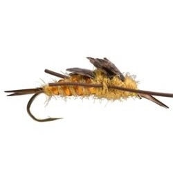 Kaufmans Stonefly Rubber Legs Golden