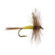 Adams Yellow