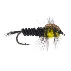 Montana Nymph