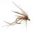 Daddy Long Legs