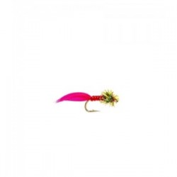 Nymph Wrap Bloodworm