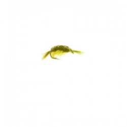 Olive Scud