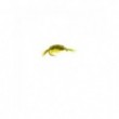 Olive Scud