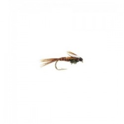 Pheasant Tail Nymph flashback