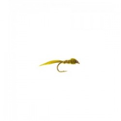 Pond olive