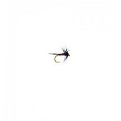RS Nemo Black