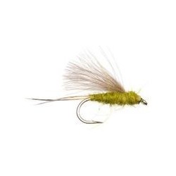 RS2 Olive