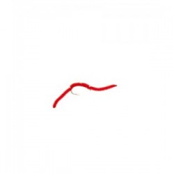 San juan Worm