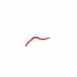 San juan Worm