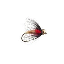 Sedge Pupa