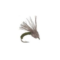 Serendipity Olive
