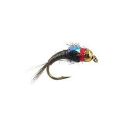 TB Dark Quill