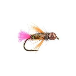 TB Trout Scare