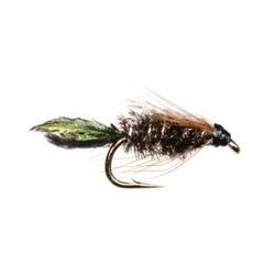 Zug Bug