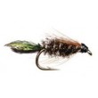 Zug Bug