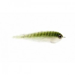 Salty Baitfish Anchovy