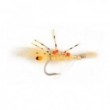 Sand Prawn