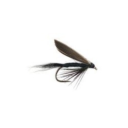Black Gnat Wet