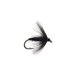 Black Spider Wet