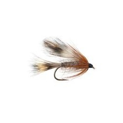 Down Wing Adam
